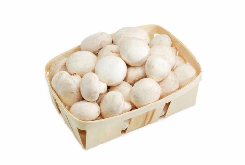 white-button-mushrooms